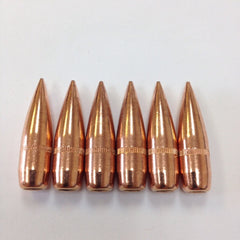 .30 Projectiles (Bullets)