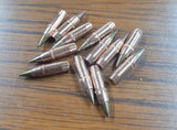 M855A1 projectiles, 500 each